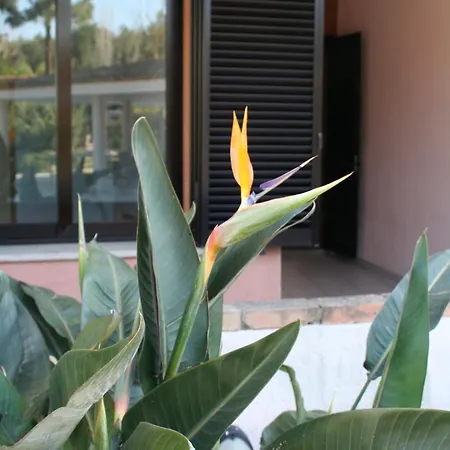 아파트호텔 Verdemare Sardegna Uno 빌라시미우스