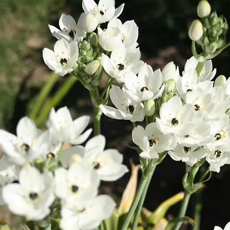 Verdemare Sardegna Uno 아파트호텔 3*