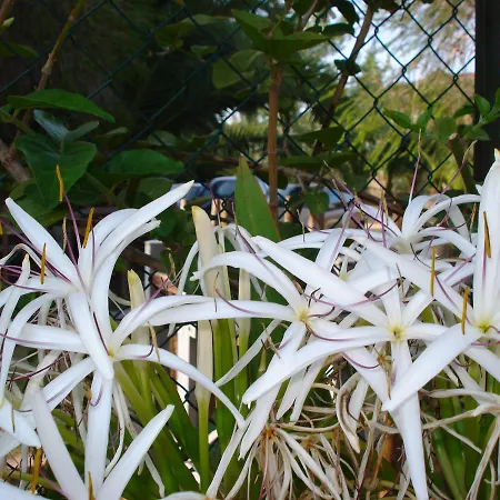 Verdemare Sardegna Uno