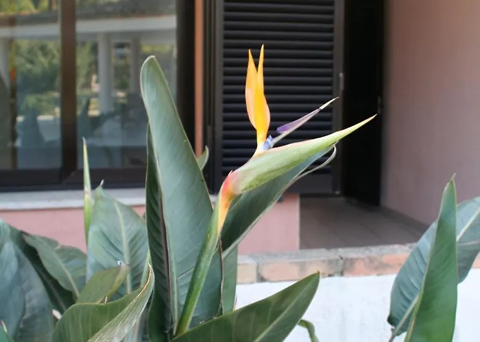 Aparthotel Verdemare Sardegna Uno Villasimius