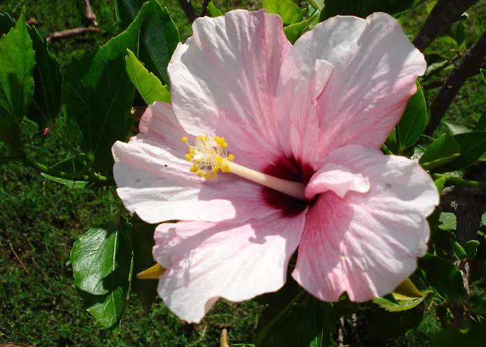 Hotel apartamentowy Verdemare Sardegna Uno Villasimius