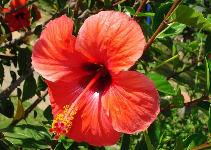 Hotel apartamentowy Verdemare Sardegna Uno Villasimius