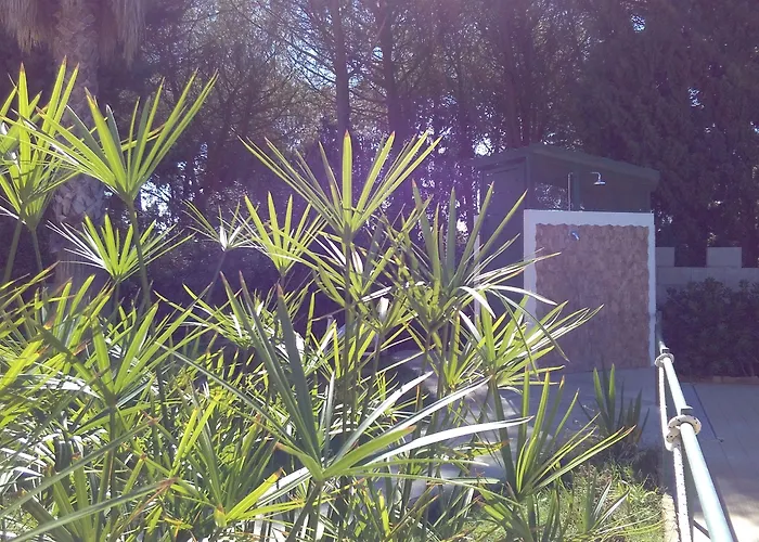 华德马拉萨丁公寓式酒店 3* 维拉西米乌斯