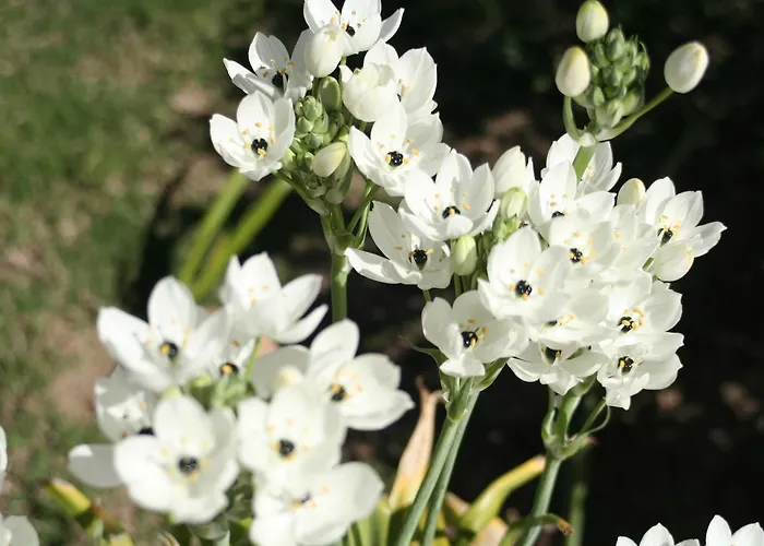 华德马拉萨丁公寓式酒店 公寓式酒店 3*