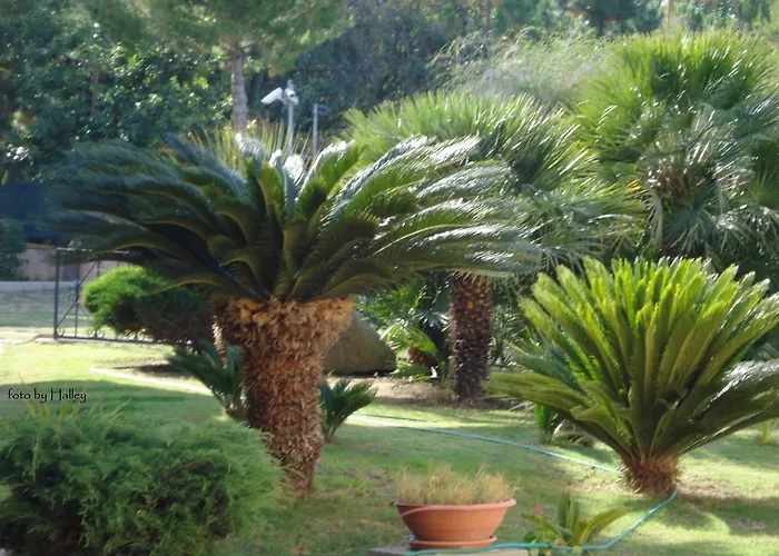 Aparthotel Verdemare Sardegna Uno Villasimius