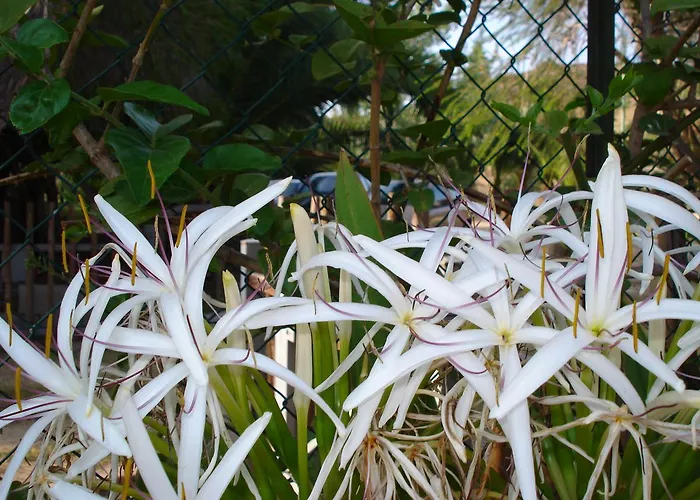 华德马拉萨丁公寓式酒店